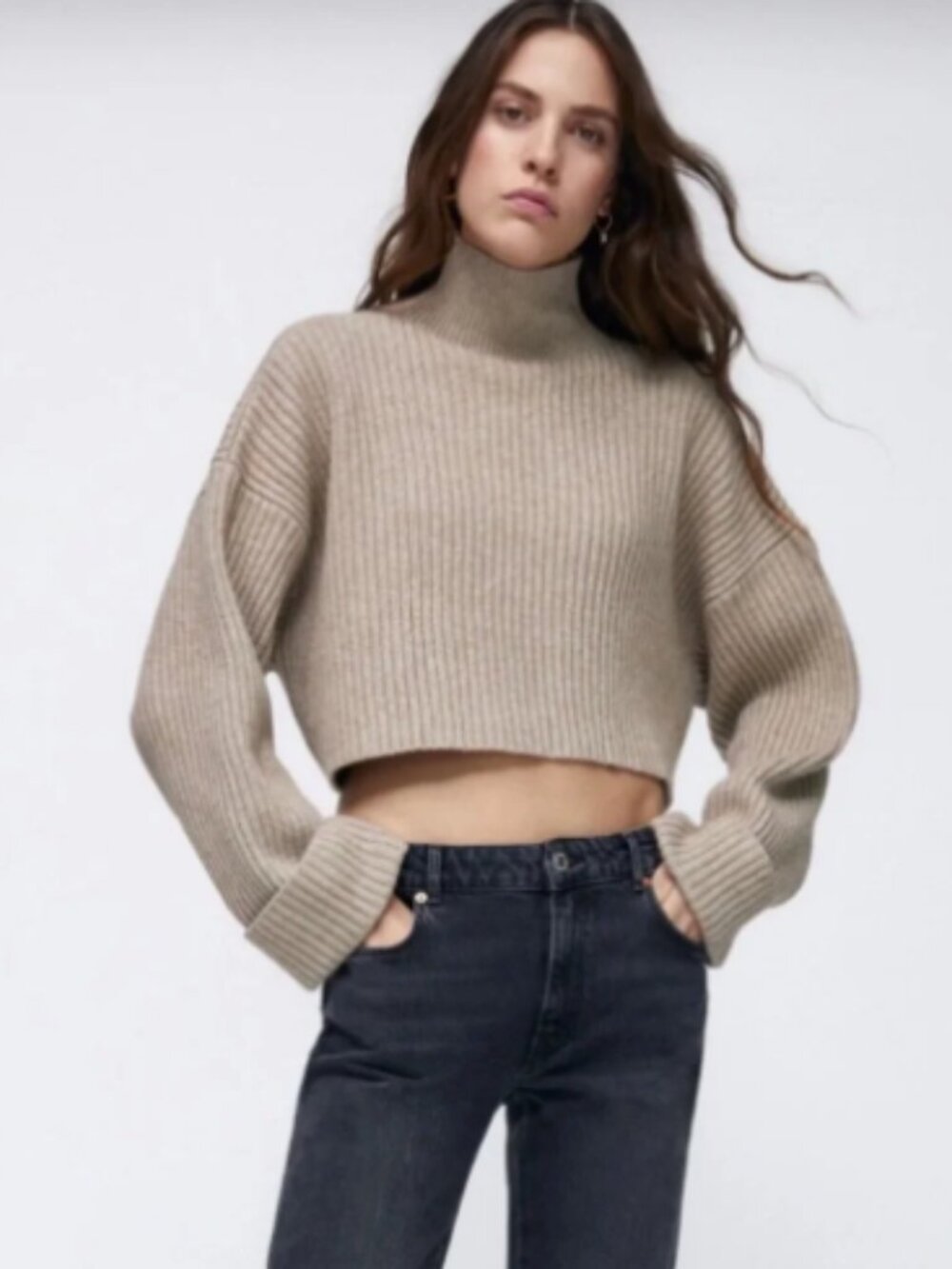 Zara Cropped Mock Neck Sweater • XL
